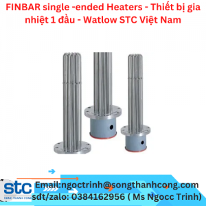FINBAR single -ended Heaters - Thiết bị gia nhiệt 1 đầu - Watlow STC Việt Nam
