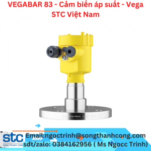 VEGABAR 83 - Cảm biến áp suất - Vega STC Việt Nam