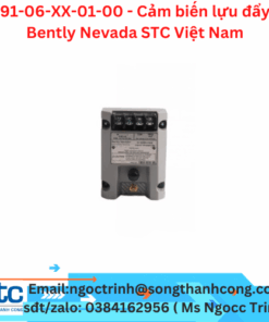 991-06-XX-01-00 - Cảm biến lựu đẩy - Bently Nevada STC Việt Nam 