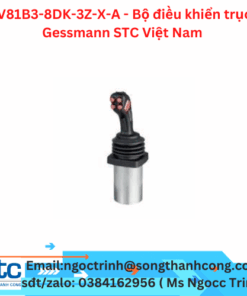 VV81B3-8DK-3Z-X-A - Bộ điều khiển trục - Gessmann STC Việt Nam