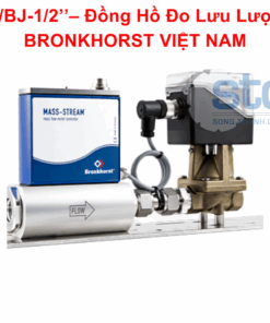 D-6373/BJ-1/2’’– Đồng Hồ Đo Lưu Lượng STC BRONKHORST VIỆT NAM