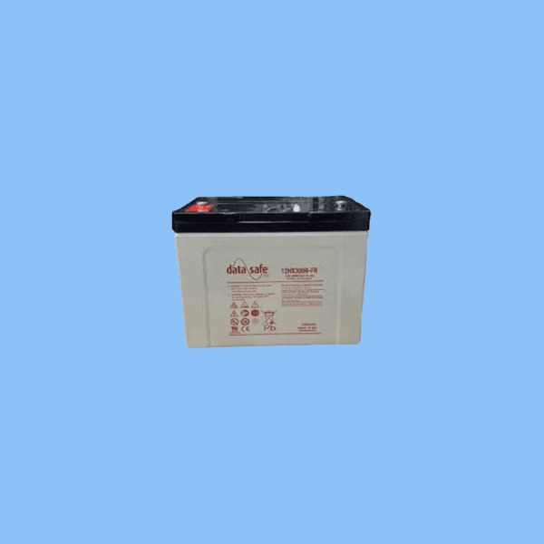 12HX300a-FR Ác Qui DataSafe Enersys Vietnam