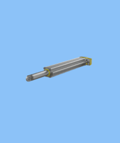 AG 2491 / 00210667