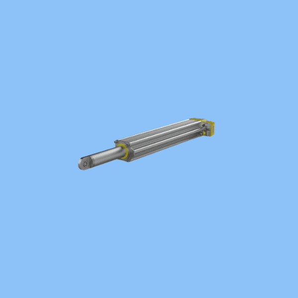 AG 2491 / 00210667