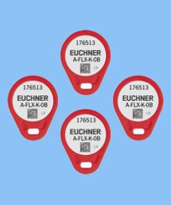 FLX-K-0B-RD-V04 176513 Tiêu chuẩn và an toàn Euchner