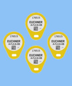 FLX-K-0B-YE-V04 176515 Tiêu chuẩn và an toàn Euchner