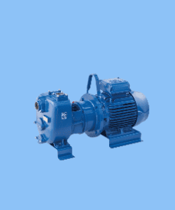 JE 2-215 F20 NT20 Bơm ly tâm tự mồi ghép trực tiếp Varisco Vietnam