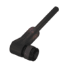 BCC W425-0000-1A-003-TW0434-050 Kết nối Balluff
