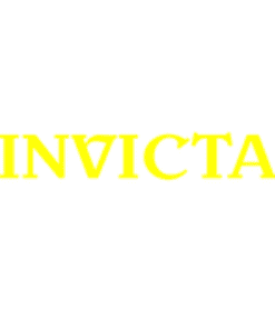 BLZ/50-75/6/01/50 Bộ rung công nghiệp Invicta