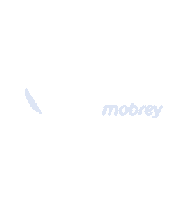 DMTGFNBH252 Thiết bị đo mức Delta Mobrey