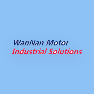 YE3-315S-4 Động cơ WANNAN MOTOR / WNM WANNAN MOTOR