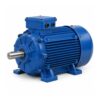 3SIE200L-8-X Động cơ điện không đồng bộ ba pha Cantoni Vietnam