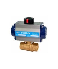 FLP-MT-089-165-015-BV-W50 Bộ truyền động van BI-TORQ Vietnam
