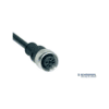 A-K5P-M12-S-G-5M-BK-2-X-A-4-69 Cáp kết nối M12 cho thiết bị an toàn Schmersal