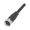 BCC M313-0000-10-036-PS0334-100 Kết nối Balluff